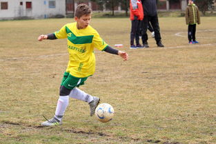 开云登录-40岁C罗再创神迹:沙特联赛独中两元,助球队登顶!,c罗特辑